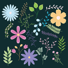 flowers and leaves collection