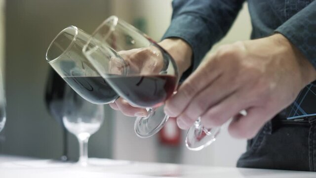 Wine tasting. Sommelier comparing two colors of two red wine in wine glasses