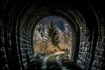 an abandoned tunnel through which a train once passed has long since grown into greenery
