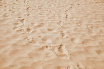 Foot steps on the sand beach. Summertime concept.