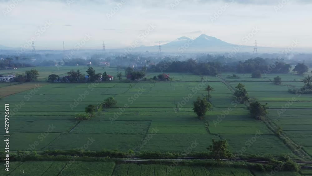 Poster Aerial view of rice field in cloudy with mountain
