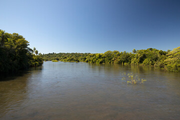 Explore. View of the wide river flowing across the green tropical forest. 