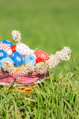 Painted Easter eggs in a basket filled with blooming branches in the spring green grass