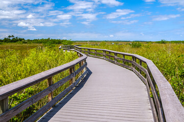 A Dock leading to the sky at the Everglades National Park in Florida.