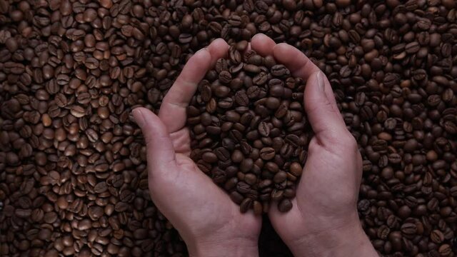 farmer's hand inspects freshly roasted coffee beans