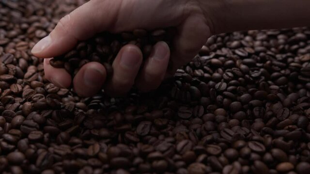 farmer's hand inspects freshly roasted coffee beans