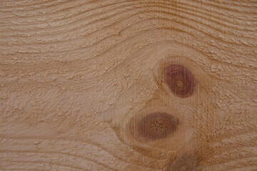 Sawn board texture. Wooden background with knots. Copy space.