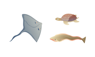 Ocean Underwater Animals with Floating Skate and Turtle Vector Set
