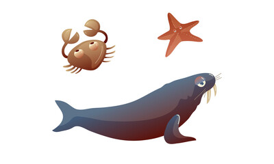 Ocean Underwater Animals with Crab and Starfish Vector Set