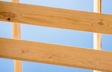 a fragment of a pine board against the sky