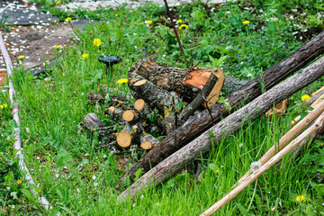 chopped wood in the garden