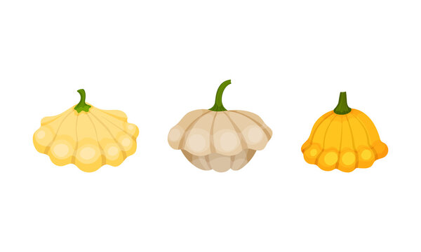 Pattypan Squash Or Summer Squash With Scalloped Edges Vector Set