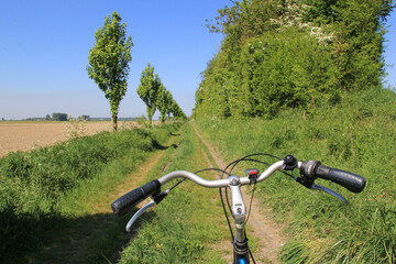 Fototapeta na wymiar a bicycle handlebar closeup at an unpaved path with green trees, shrubs and plants in the dutch countryside in springtime