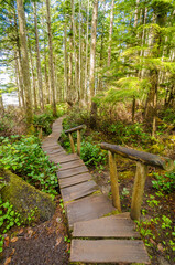 Obraz premium Fragment of Cape trail in Olympics park, Washington, USA
