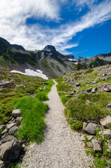 Fragment of Mount Baker trail in, Washington, USA