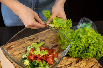 cooking summer salad cucumber and tomatoes
