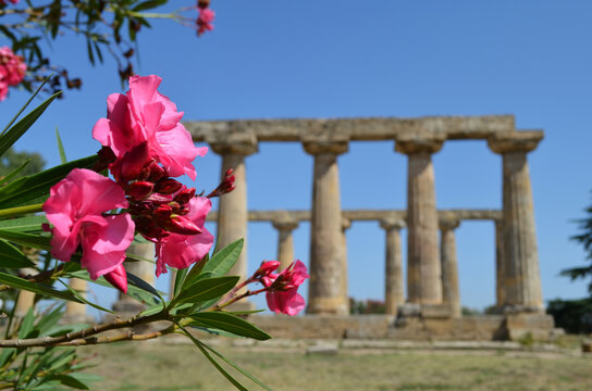 Tavole Palatine