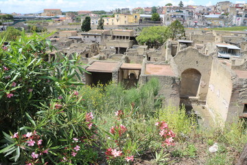 General view of the excavation of Herculaneum, Italy