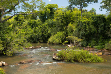 Environmental preservation. The Iguazu river flowing across the green tropical forest. 