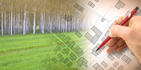 Imaginary topographic cadastral map and land parcels of territory with trees on background and buildable vacant land for sale - concept image - obrazy, fototapety, plakaty