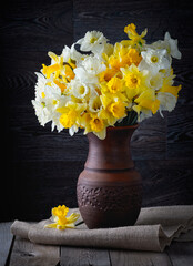 Fresh spring bright yellow daffodils flowers in a clay vase on dark background. Copy space.