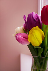 Spring tulip flowers in vase. Mother day