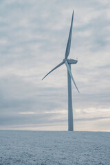 wind turbine on the moor