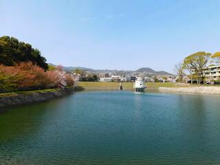 Fototapeta na wymiar ニテコ池(兵庫県西宮市で2021年4月撮影)