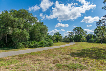 Fototapeta na wymiar Curving paved pathway across Pine Island Ridge Natural Area - Davie, Florida, USA