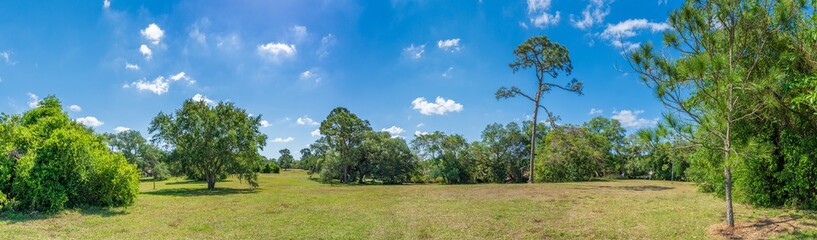 Panorama of Pine Island Ridge Natural Area - Davie, Florida, USA