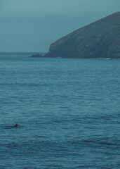 Fototapeta premium sea and sky and surfer 