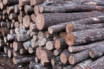 stack of wood