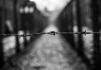 Holocaust. Barbed-wire fence at the Auschwitz, German Nazi concentration camp in Poland