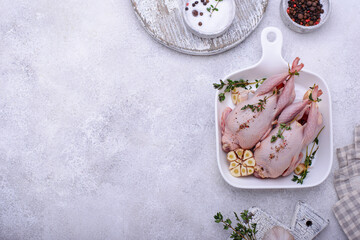 Obraz na płótnie Canvas Raw quail meat with spices, garlic and herbs