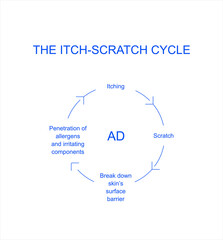 Atopic dermatitis itch-scratch cycle conditions. Eczema-prone skin. Infographics vector illustration.