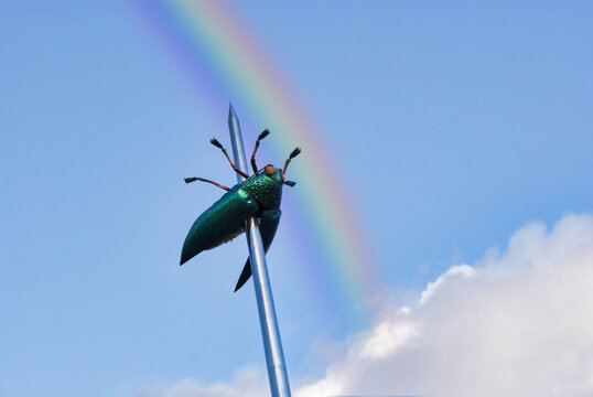 Rainbow over the giant jewel beetle of Leuven, Belgium. Huge cockroach skewered by a large glass needle. Jan Fabre Totem.