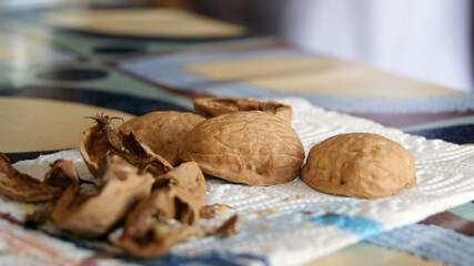 Broken walnut shells on a kitchen table.
Eat nuts in the fall.