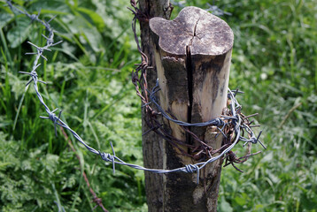 An old wooden post wrapped in barbed wire.
Close-up of a cracked fence post to protect a vegetable garden in the mountains.