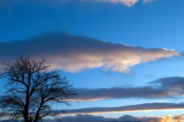 Obraz premium Panorama of dawn fire in the sky above the natural pasture. Golden red clouds just before sunrise. Picturesque landscape at sunrise. Beauty in nature
