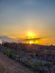 sunset in the hinterland