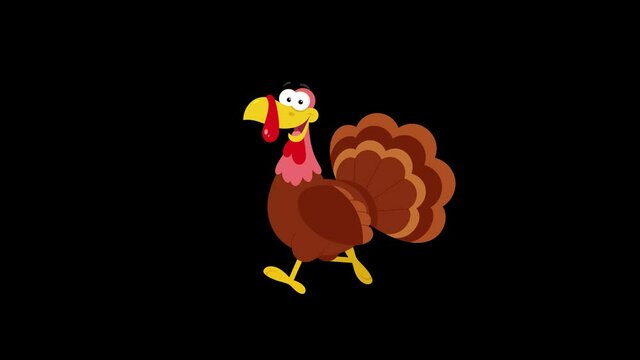 Cute Turkey Cartoon Character Running Loop. 4K Animation Video Motion Graphics Without Background