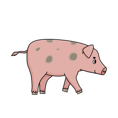 Pink adult boar pig male is walking somewhere, side profile view. Cartoon outline Farm animal is smiling. Vector doodle character is isolated on white background