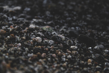 rocks of the lake