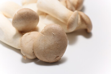 白背景のエリンギ