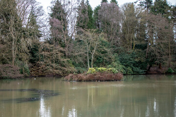 Lake in winter. The photo was taken in Edinburgh Heriot-Watt Research Park, Scotland