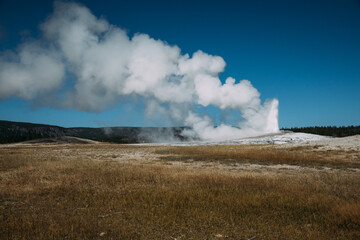 The Old Faithful geyser in park national park