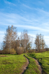 Fototapeta na wymiar Spring landscape. Green grass, the road going into the distance and the blue sky.