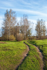 Fototapeta na wymiar Spring landscape. Green grass, the road going into the distance and the blue sky.