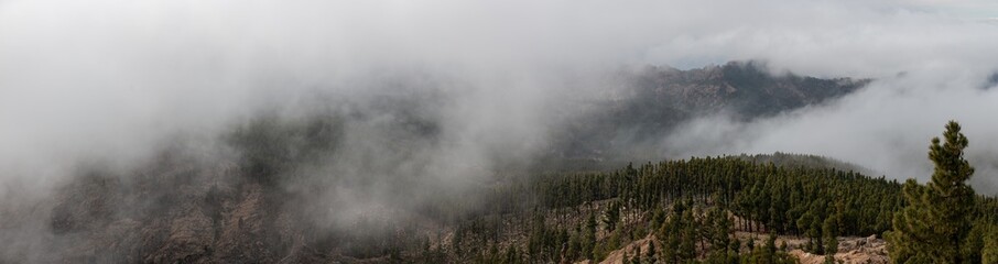 Mountains of Gran Canaria, Spain, with low clouds between pine forest