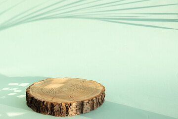 Podium for product presentation. A minimalistic scene of a felled tree lies against a green background. Prerequisites for branding. top view